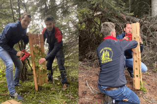 François Buchard, directeur de Buchard Voyages, assiste le garde-forestier Mathieu Charvoz, dans la pose de la protection de jeunes feuillus.